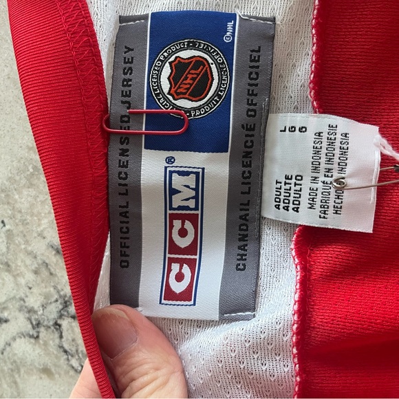 Brett Hull Autographed Red Wings Jersey - Picture 6 of 6